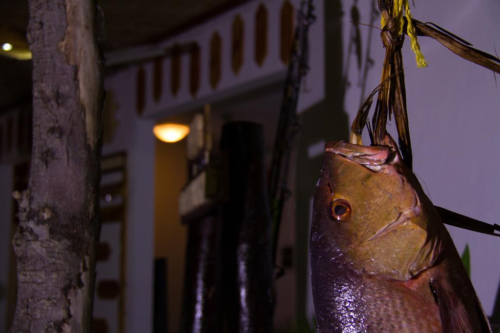 Alvi Star Inn Thulhaadhoo Exteriör bild